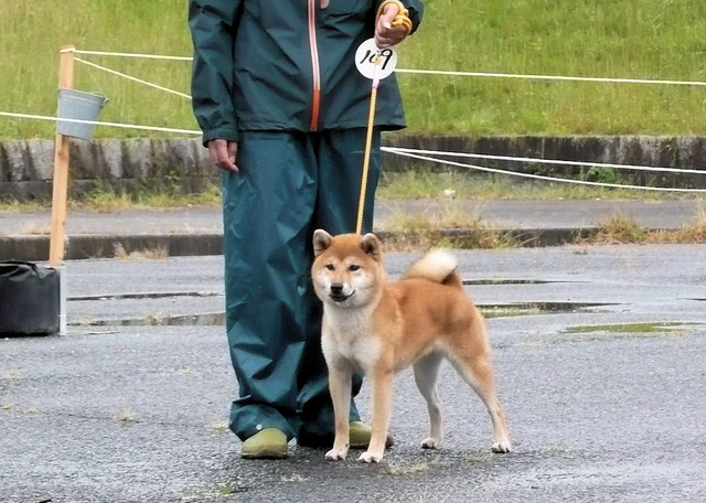 つくし2審