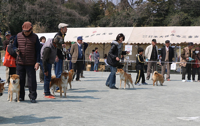 img2017-3-19-28