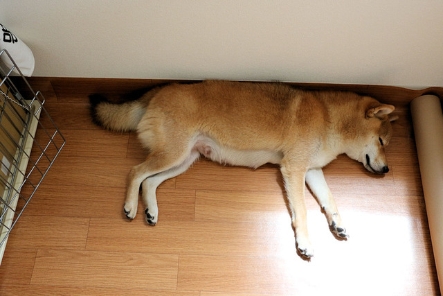 ちょっと、休憩