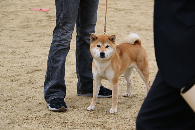なんか…