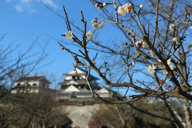 img2019-1-27-26