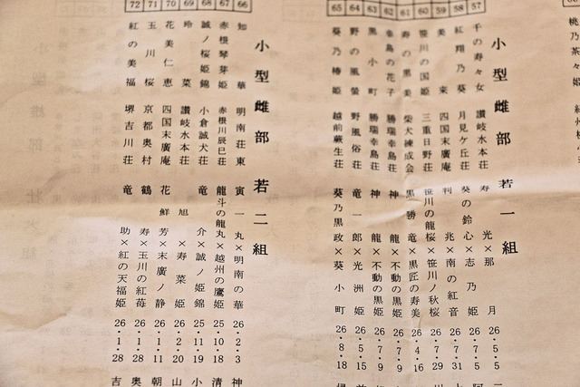 H27春季京都支部展