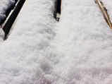 初雪