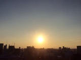 朝