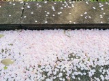 ふわふわ