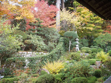 大原三千院庭園