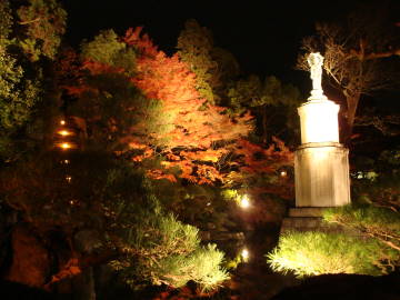 知恩院観音像と紅葉