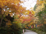 赤山禅院