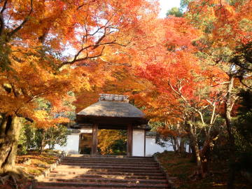 安楽寺