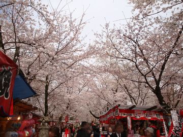 平野神社境内