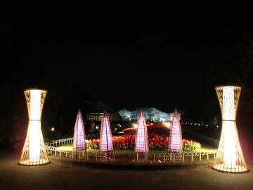 京都府立植物園ライトアップ