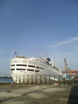 04a90a86.jpg