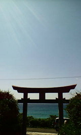 290484b5.jpg