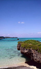 d5456c09.jpg