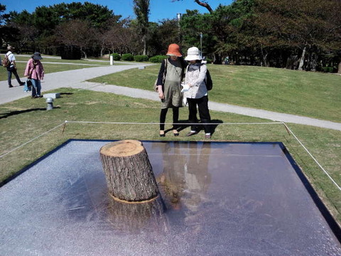 ウベ人2