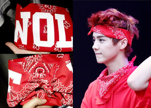 Exo エクソ 公式グッズ Exo Wolf バンダナ 激安通販はこちら Exo 激安通販はこちら