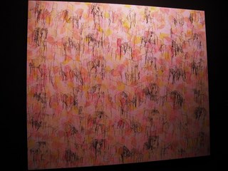 DSCN6099