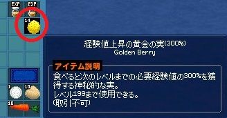 mabinogi_2017_12_01_027
