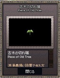 mabinogi_2017_02_15_017