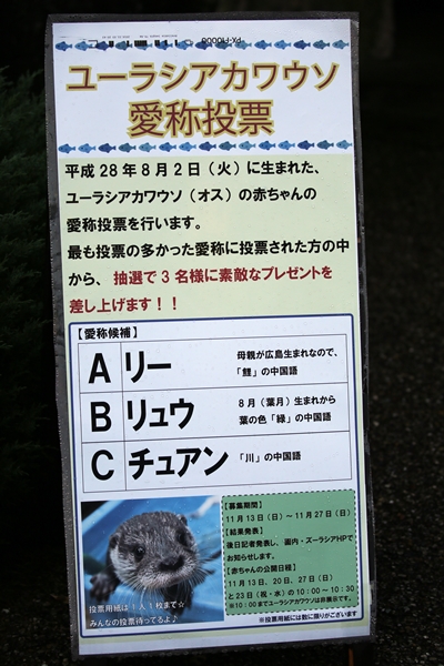 R5DM0002
