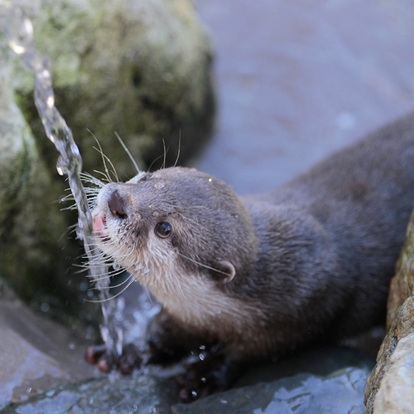 Forum Image: http://livedoor.blogimg.jp/kotsume_fn2/imgs/3/d/3d739a2f.jpg