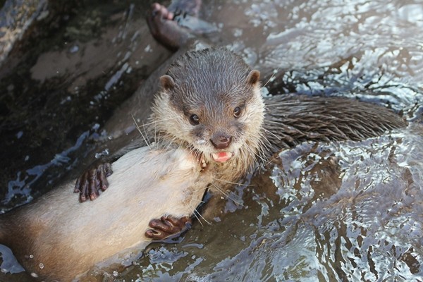 Forum Image: http://livedoor.blogimg.jp/kotsume_fn2/imgs/4/f/4f9958c6.jpg