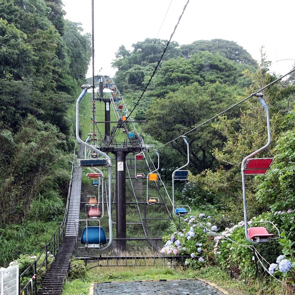 H1DX5019