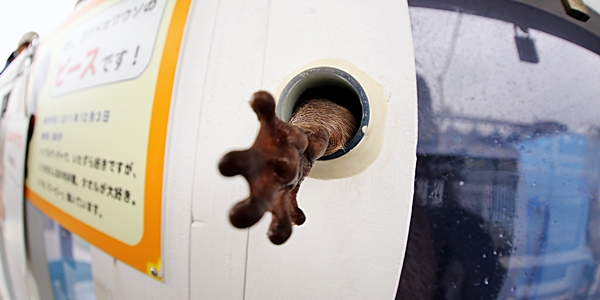 R5D_7833