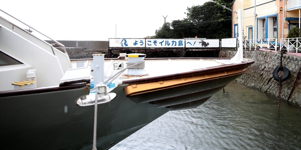 H1DX5014