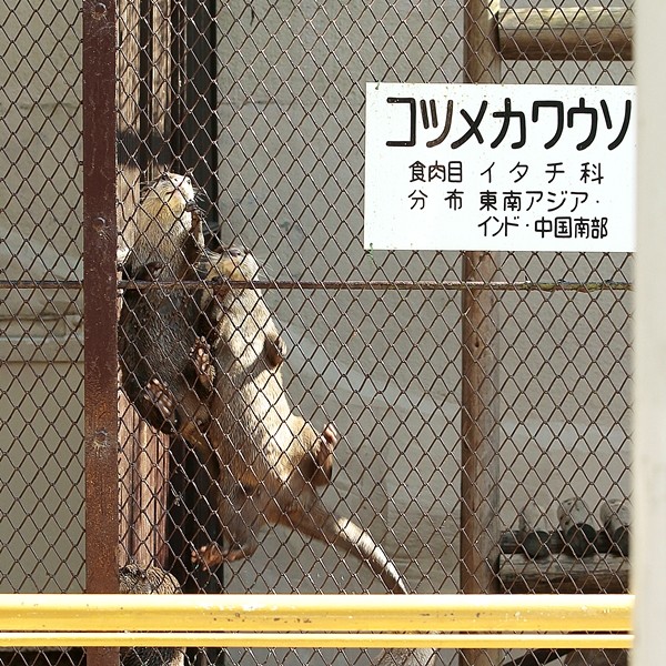 Forum Image: http://livedoor.blogimg.jp/kotsume_fn2/imgs/8/c/8c6624e3.jpg