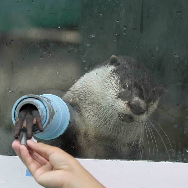 Forum Image: http://livedoor.blogimg.jp/kotsume_fn2/imgs/8/f/8fcbf7fe-s.jpg