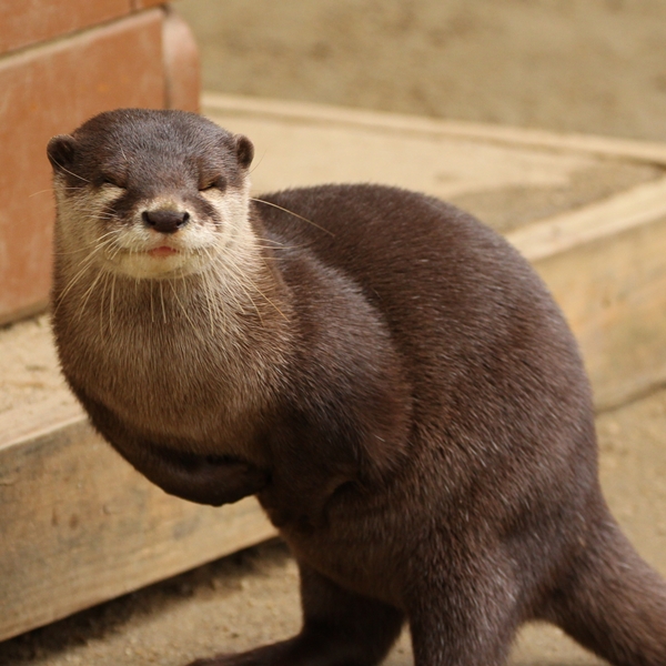 Forum Image: http://livedoor.blogimg.jp/kotsume_fn2/imgs/9/c/9c2221d2.jpg