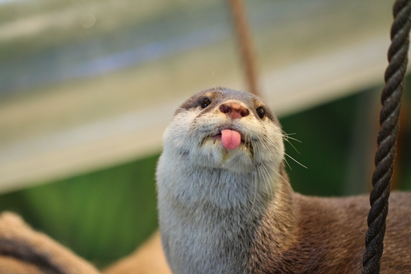 Forum Image: http://livedoor.blogimg.jp/kotsume_fn2/imgs/b/7/b7af7f76.jpg