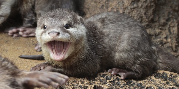 Forum Image: http://livedoor.blogimg.jp/kotsume_fn2/imgs/b/9/b952653b-s.jpg