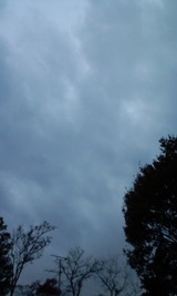 cf2820c1.jpg