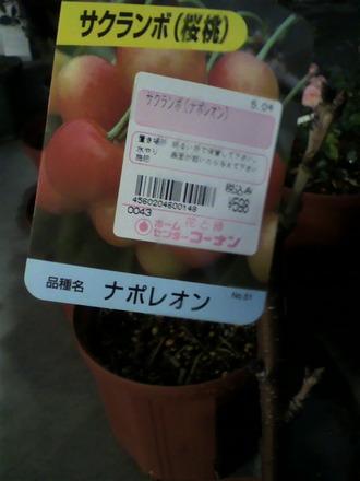 ¥µ¥¯¥é¥ó¥ÜÉʼïÄɲÃ