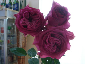 ¥ª¡¼¥ë¥É¥Ö¥ë¡¼087160fb
