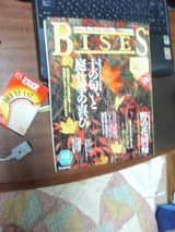 BISESÅþÃå