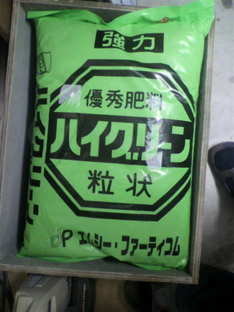 P1007530¥Ï¥¤¥°¥ê¡¼¥ó