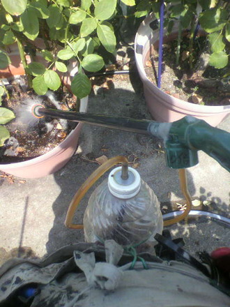 P1007124ÆüÍËÆü¤Î±ÕÈî»¶ÉÛ