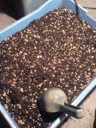 P1001853ÍÑÅڤνàÈ÷