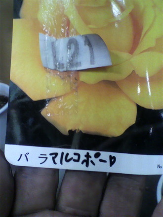 ¥Þ¥ë¥³¡¦¥Ý¡¼¥í