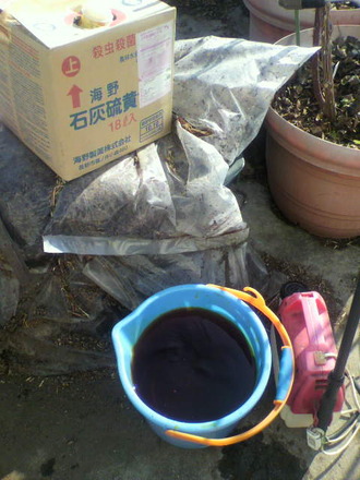 P1005497Àг¥Î²²«¹çºÞ