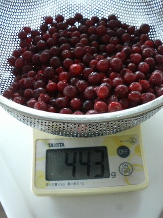 Àö¤¤½ª¤ï¤Ã¤Æ440£ç