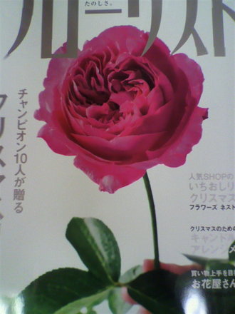 ¥Õ¥í¡¼¥ê¥¹¥Èɽ»æ¥¤¥Ö¡¦¥Ñ¥Ã¥·¥ç¥ó