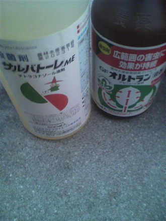 P1008531¥µ¥ë¥Ð¥È¡¼¥ìME