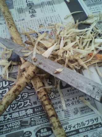 P1004582¥´¥Ü¥¦Ãã¡
