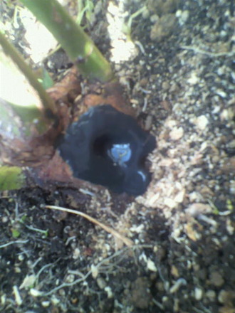 P1008936»Þ¸Ï¤ìɤμêÅö¤Æ£µ