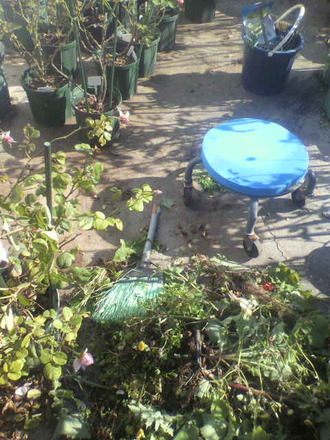 P1008912Ä«¤Î¼êÆþ¤ìÉ÷·Ê14Æü