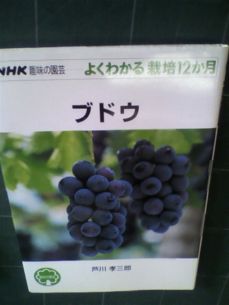 P1001703¥Ö¥É¥¦¤ÎºÏÇÝ¥¬¥¤¥É